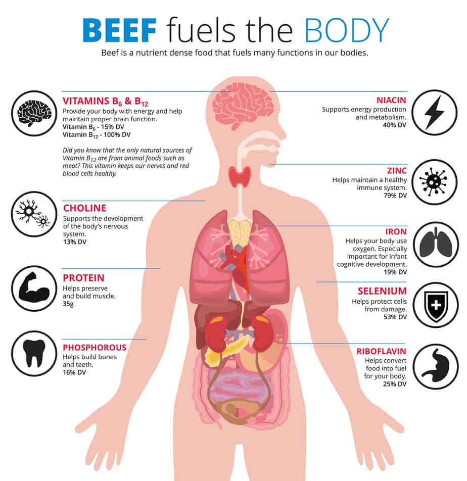 Other Beef Benefits - ThinkBeef