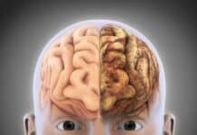 Meat eaters have better mental health than vegans and vegetarians