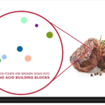What is Protein?