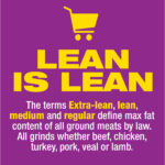 8_Lean Is Lean