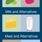 Food-Groups