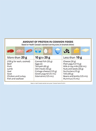 Amount-of-protein-in-foods_feature2