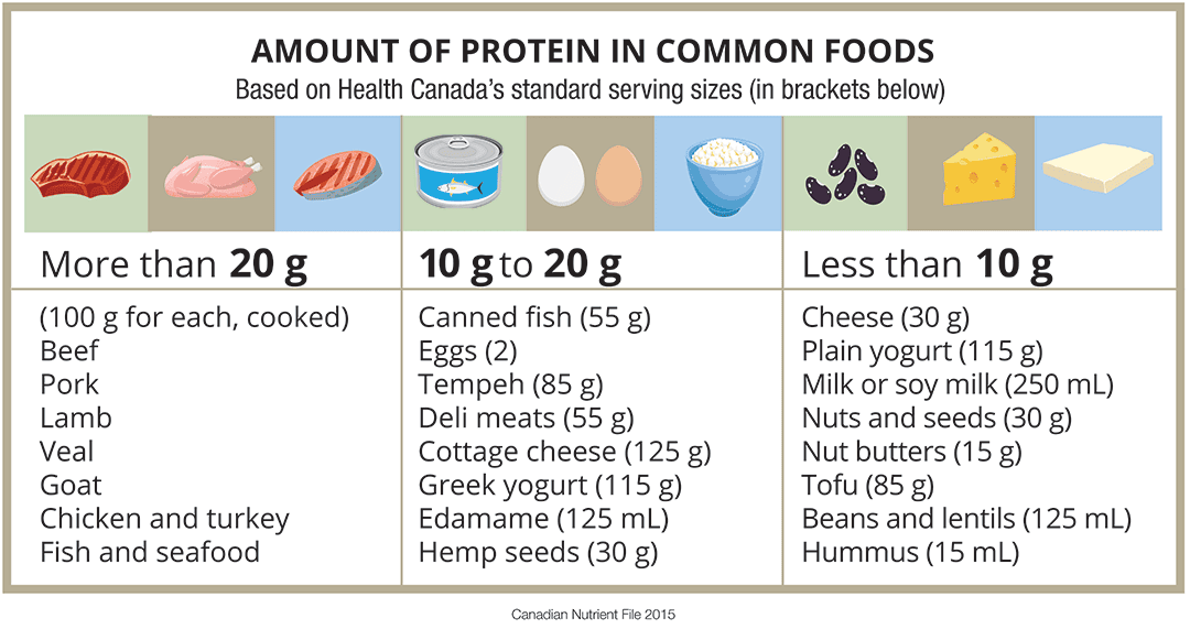 Amount-of-Protein-in-Common-Foods_6.8.26